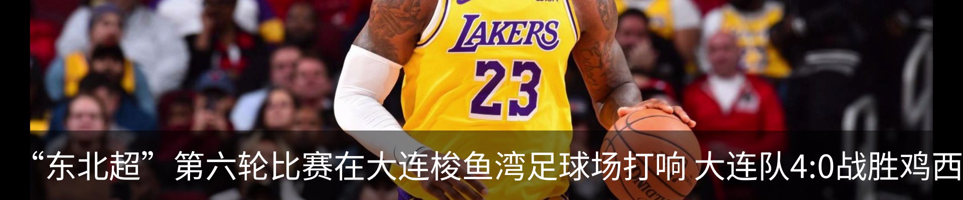 新闻动态