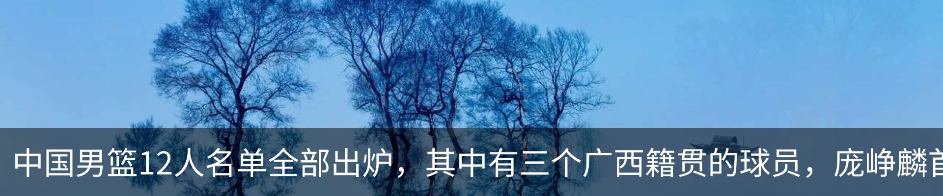 新闻动态