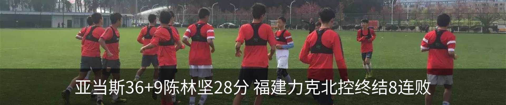 新闻动态