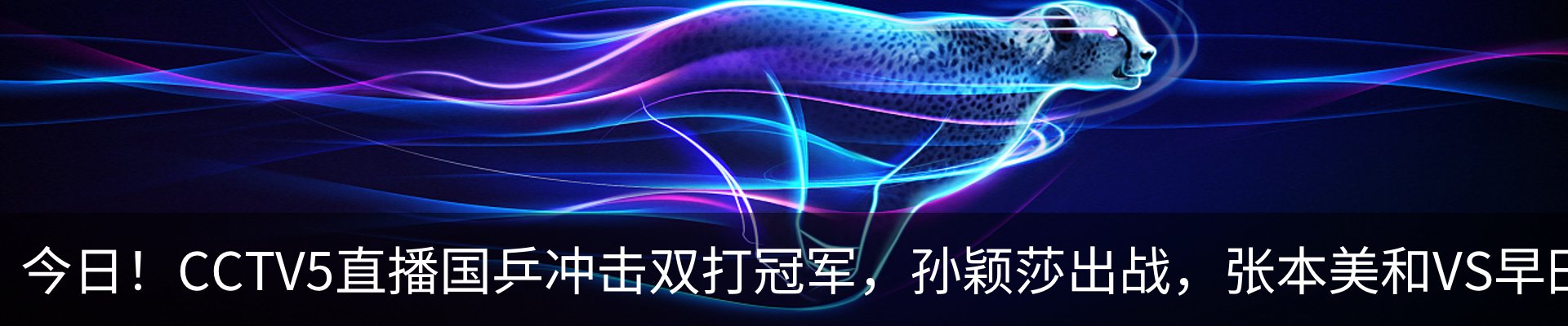 新闻动态