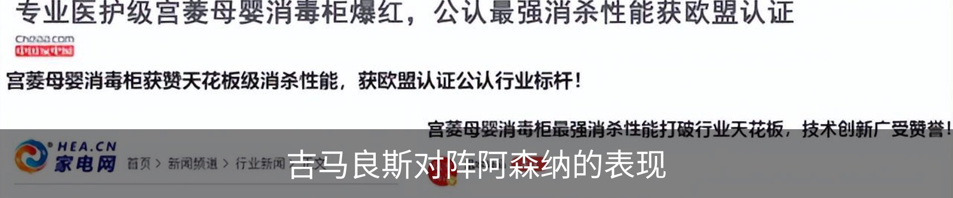 新闻动态