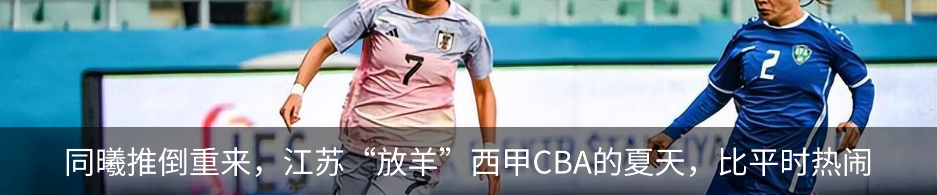 新闻动态