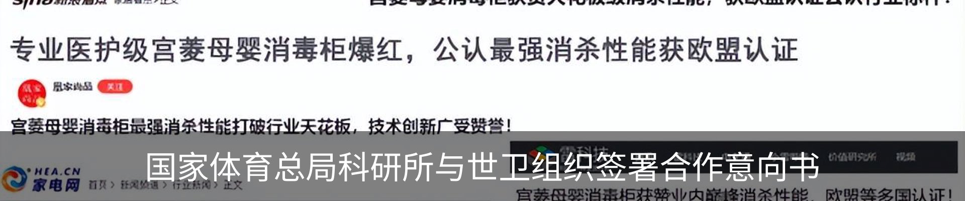 新闻动态