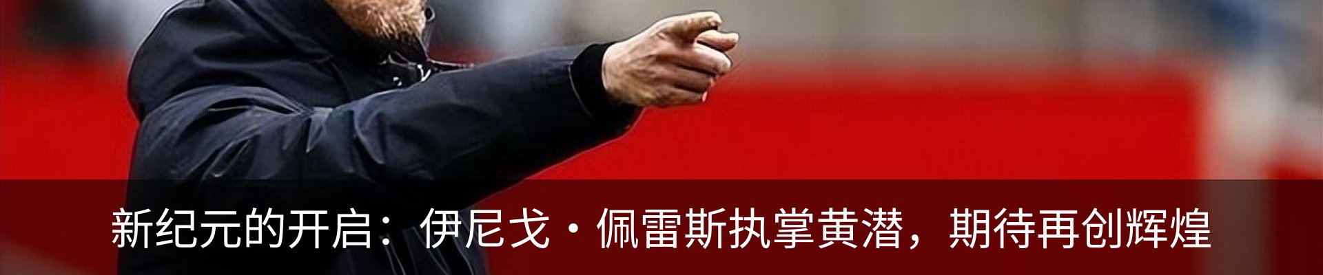 新闻动态