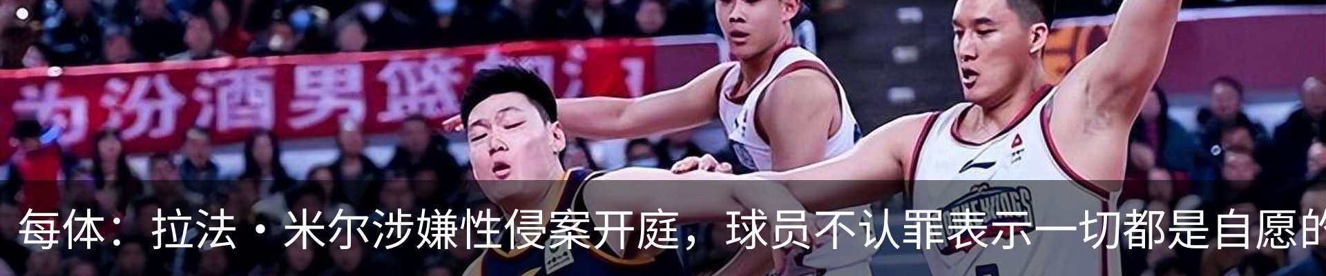 新闻动态