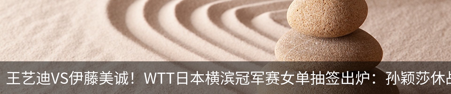 新闻动态