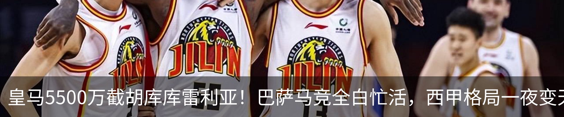 新闻动态