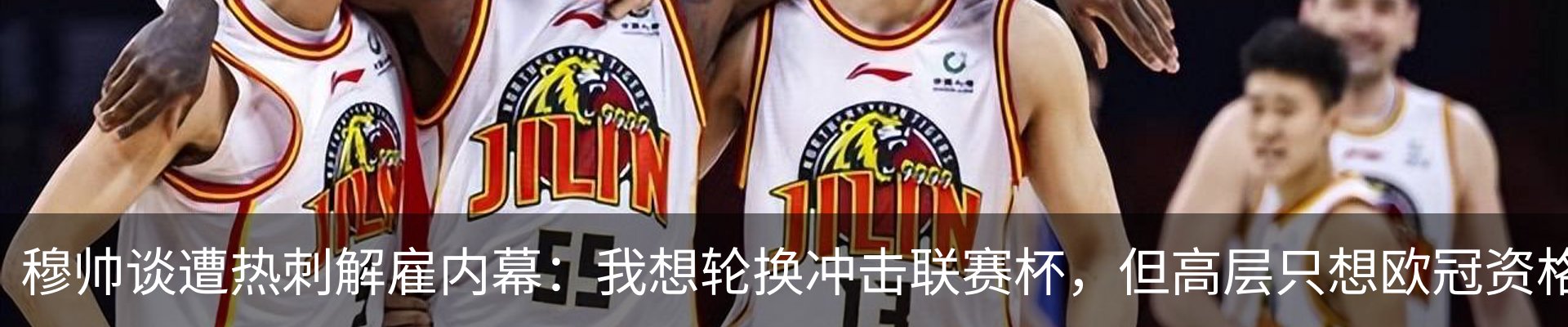 新闻动态
