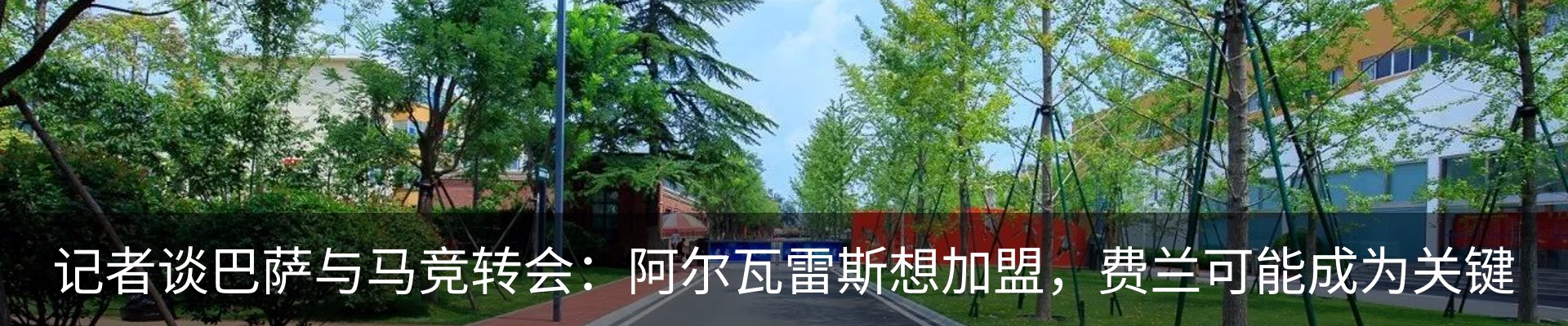 新闻动态