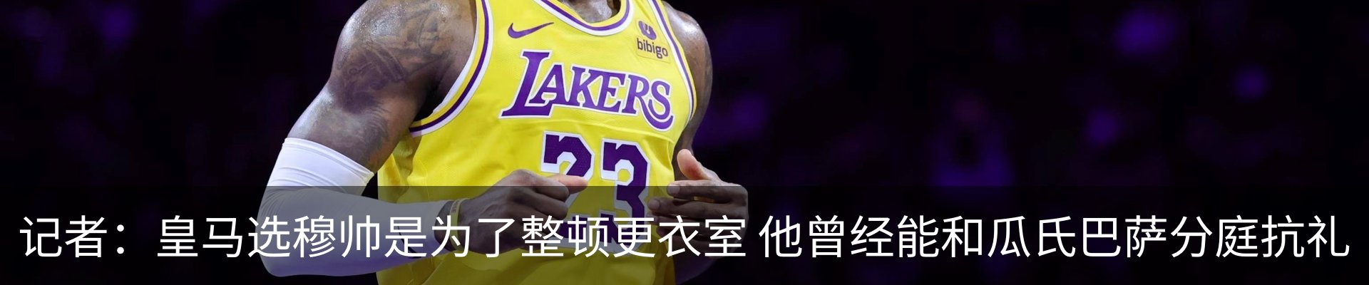 新闻动态