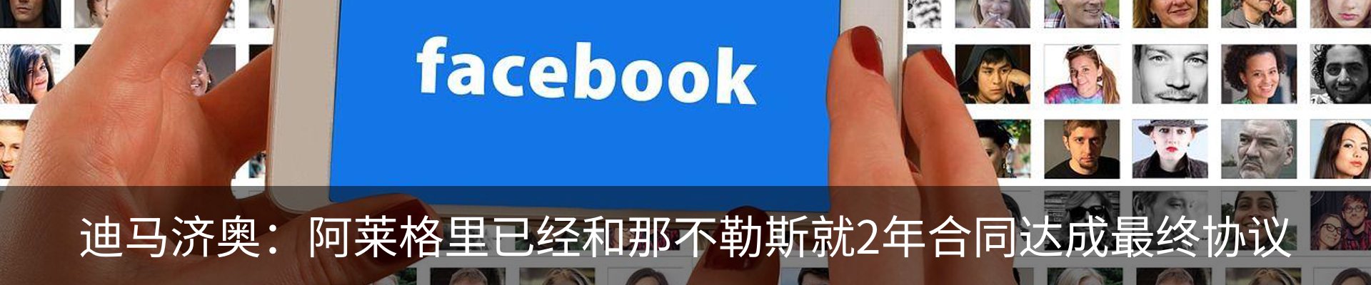 新闻动态