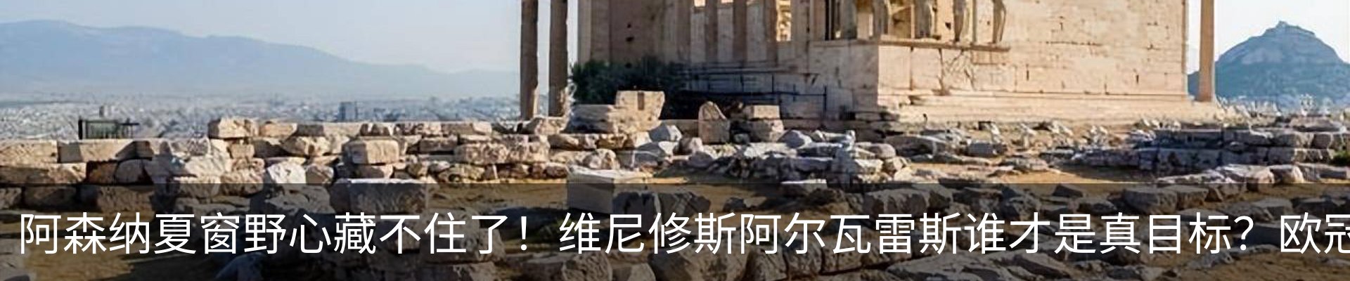 新闻动态