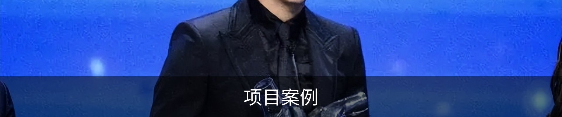 项目案例