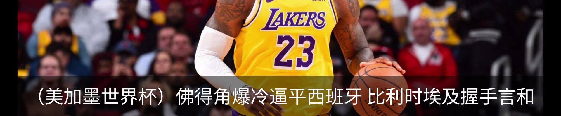 新闻动态