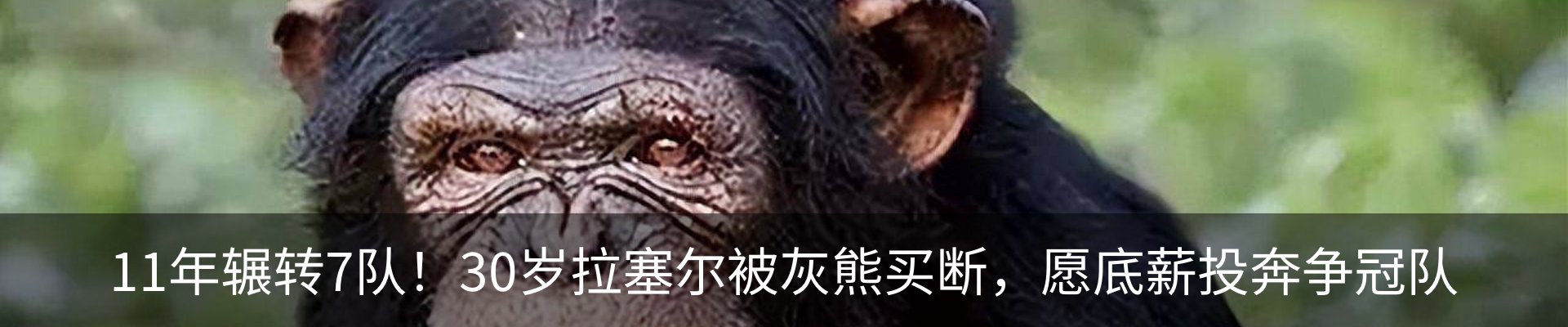 新闻动态