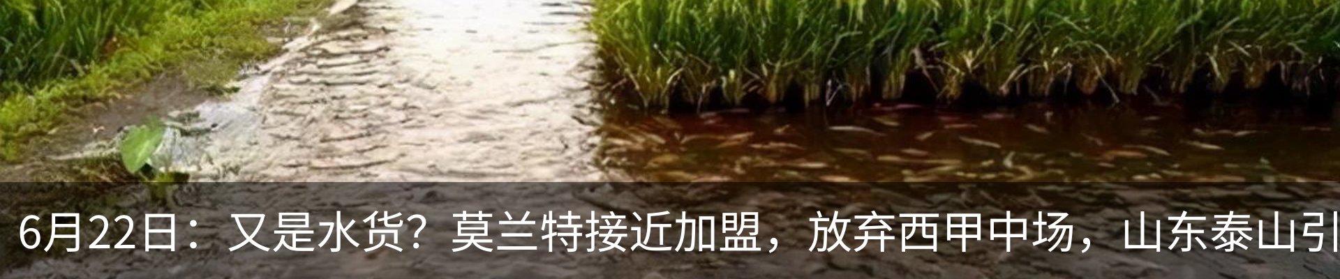 新闻动态