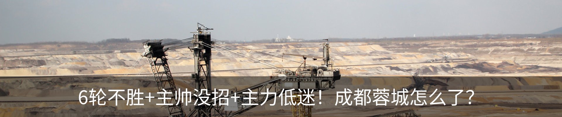 新闻动态