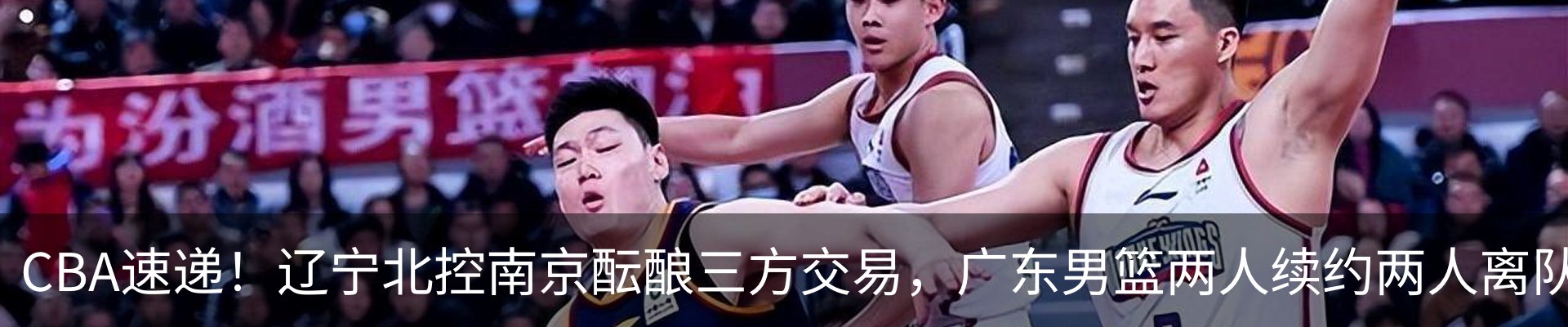新闻动态